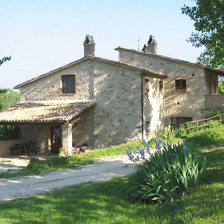 Agriturismo Frallarenza Ficulle ภายนอก รูปภาพ