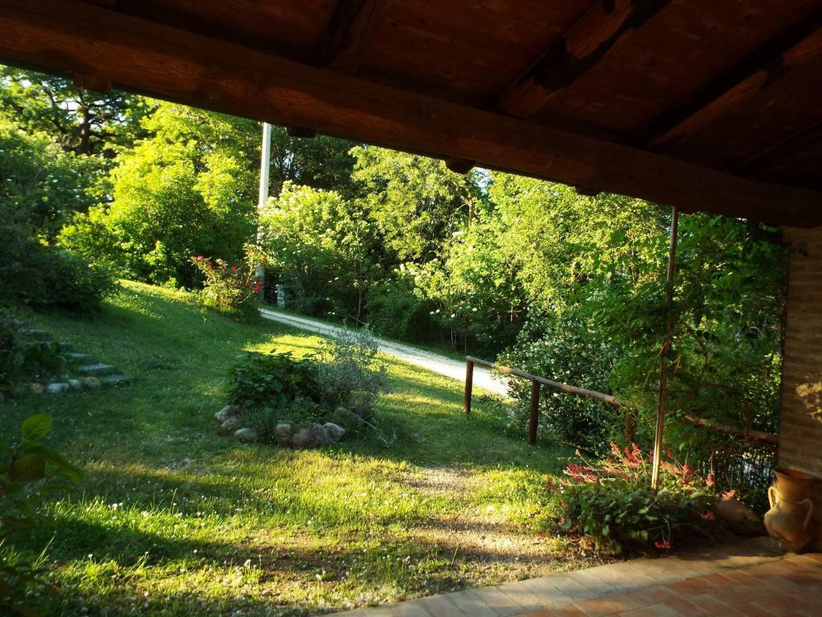 Agriturismo Frallarenza Ficulle ภายนอก รูปภาพ
