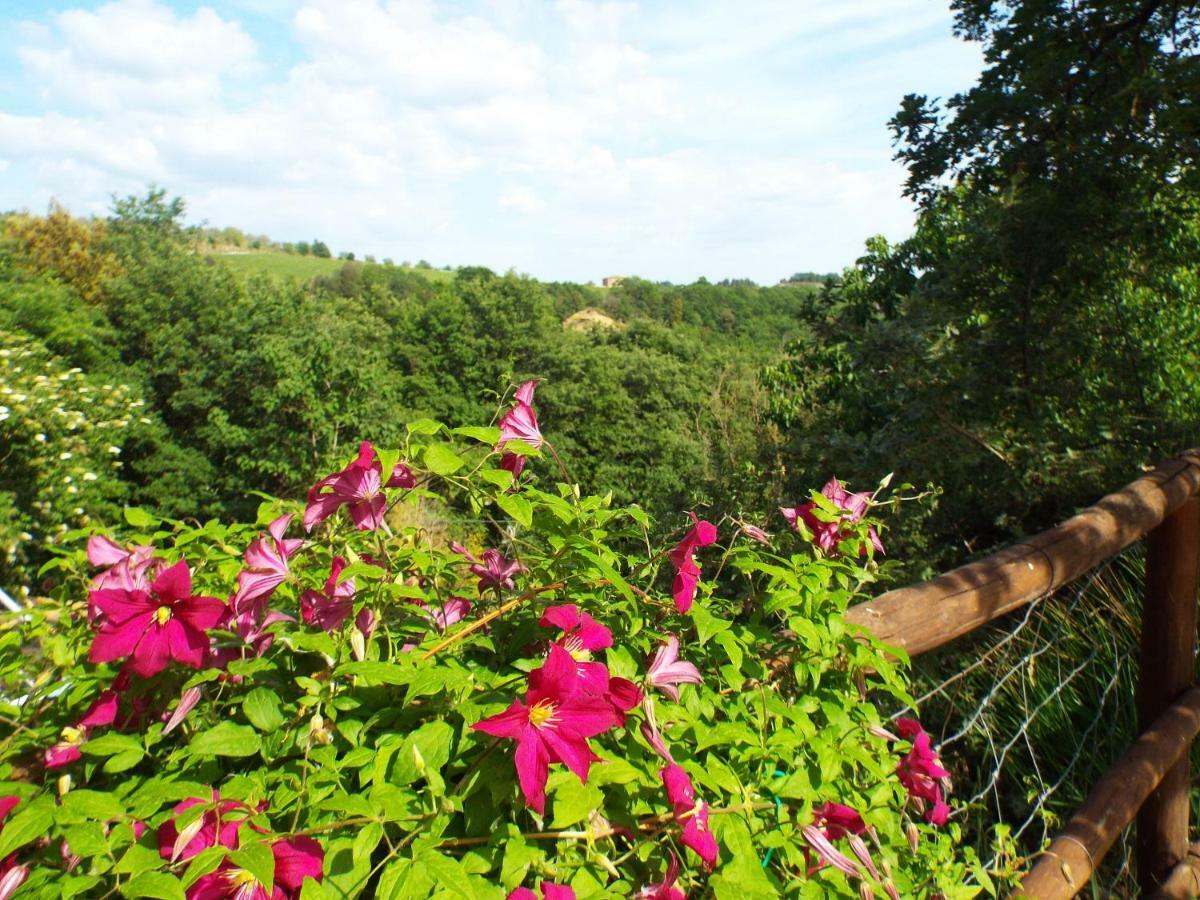 Agriturismo Frallarenza Ficulle ภายนอก รูปภาพ