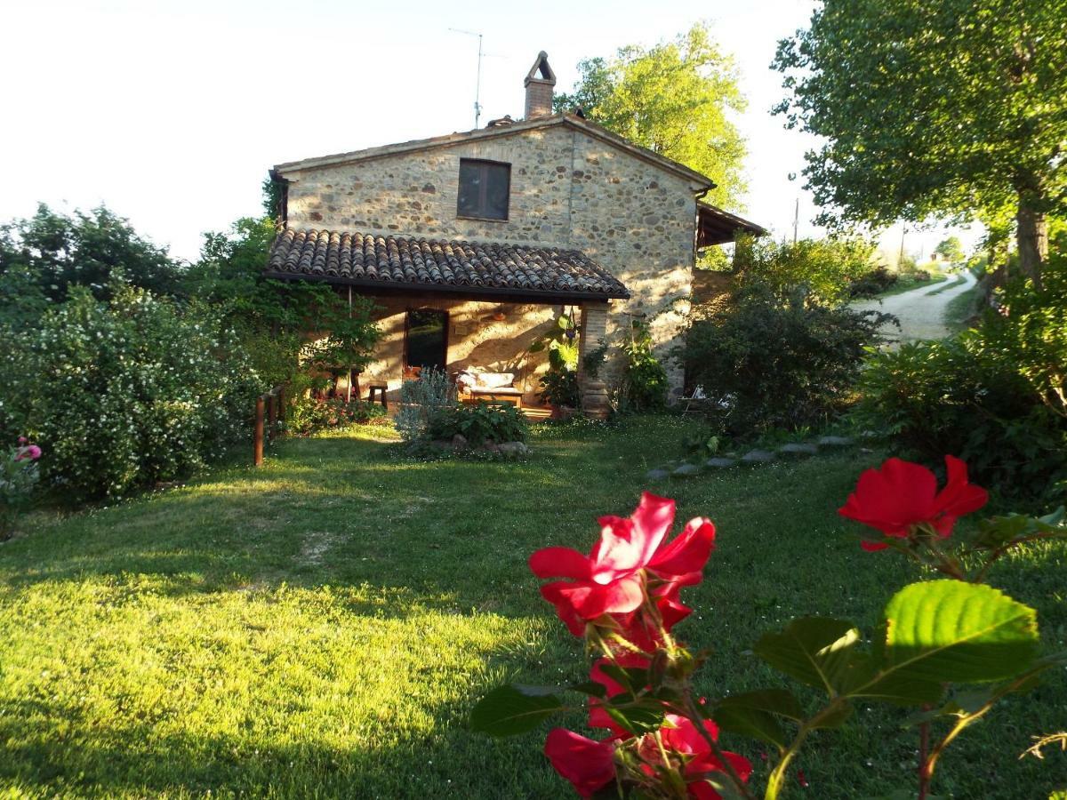 Agriturismo Frallarenza Ficulle ภายนอก รูปภาพ