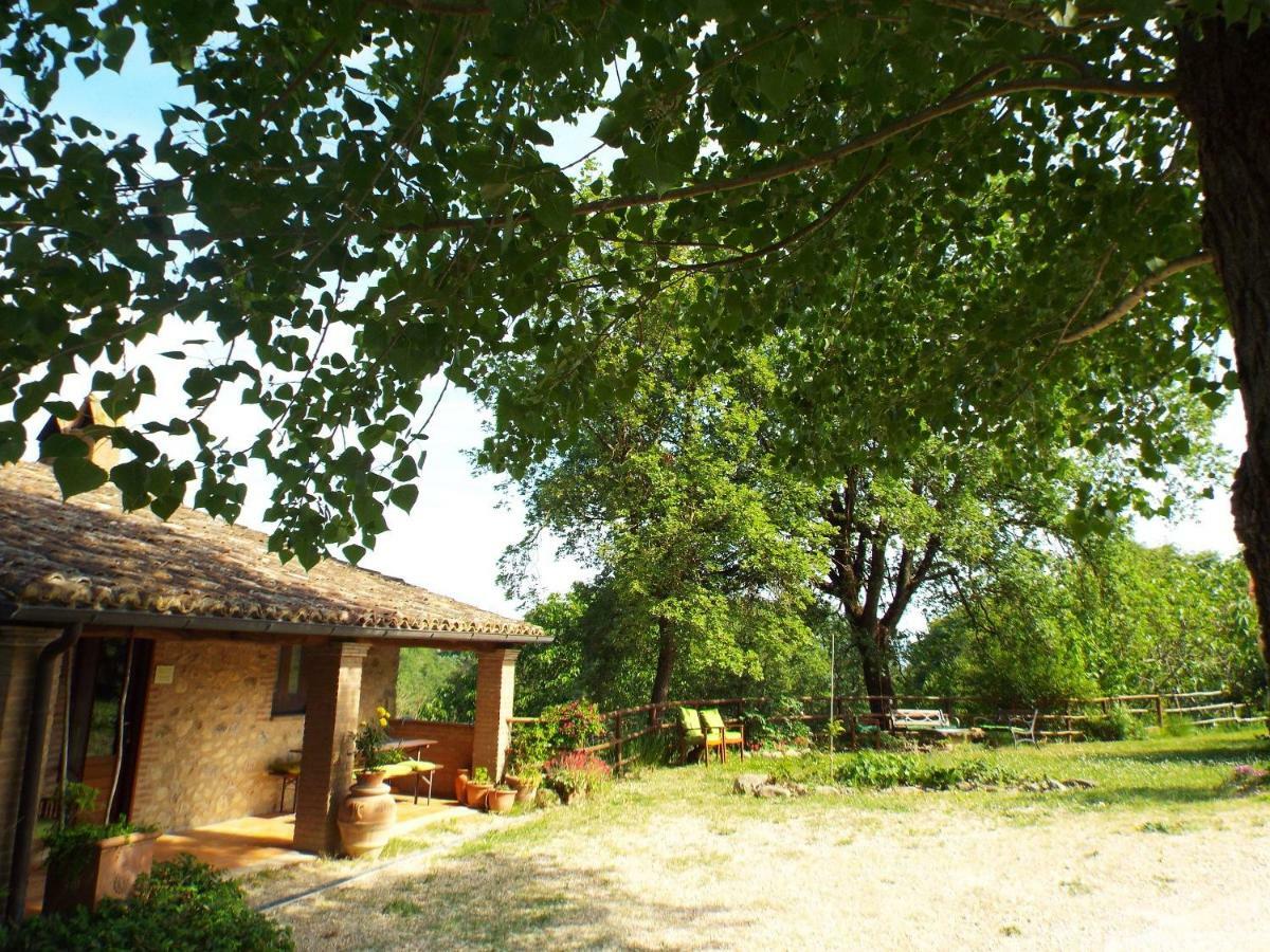 Agriturismo Frallarenza Ficulle ภายนอก รูปภาพ