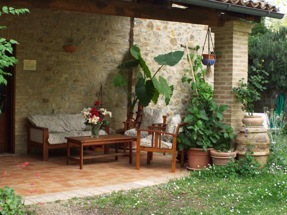 Agriturismo Frallarenza Ficulle ภายนอก รูปภาพ