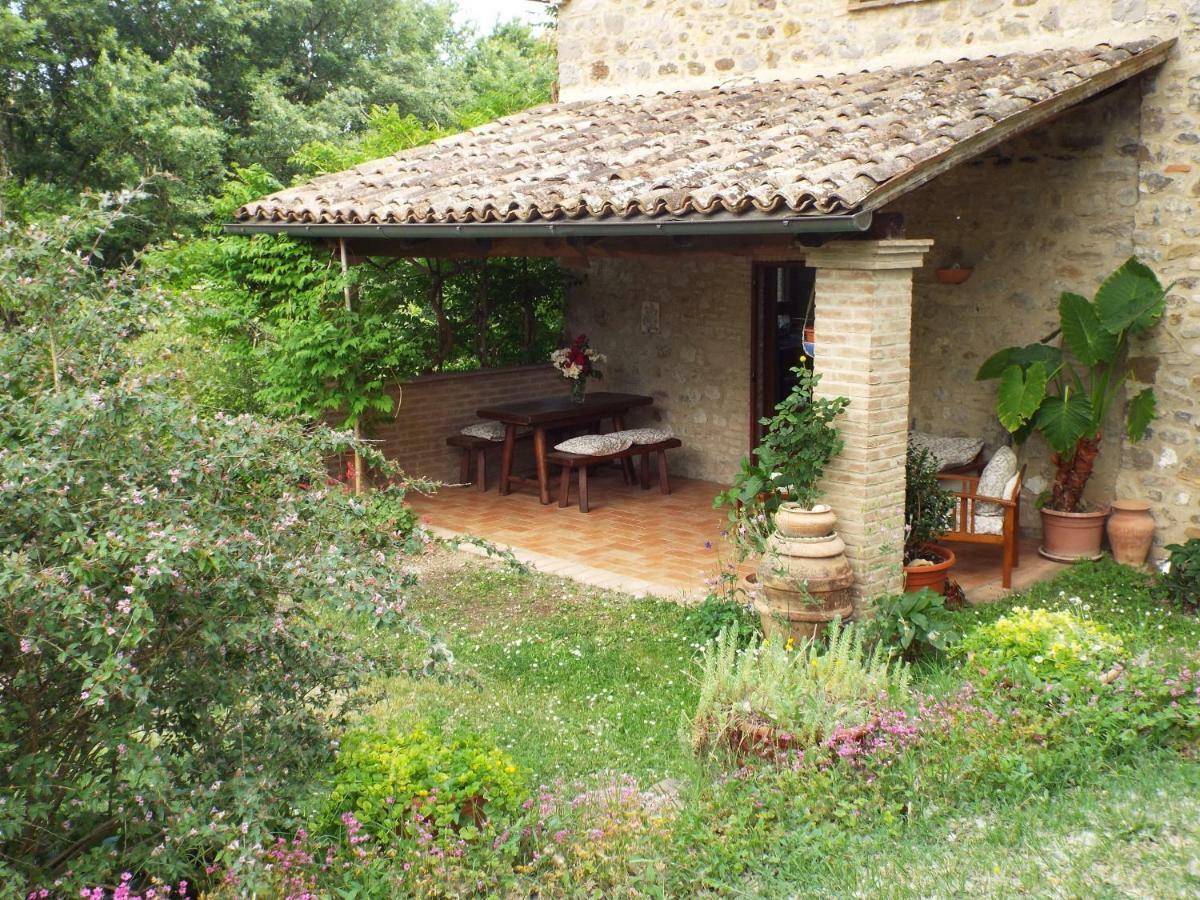 Agriturismo Frallarenza Ficulle ภายนอก รูปภาพ