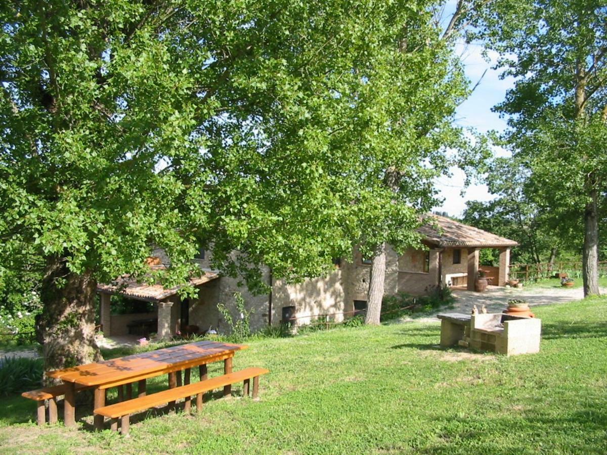 Agriturismo Frallarenza Ficulle ภายนอก รูปภาพ