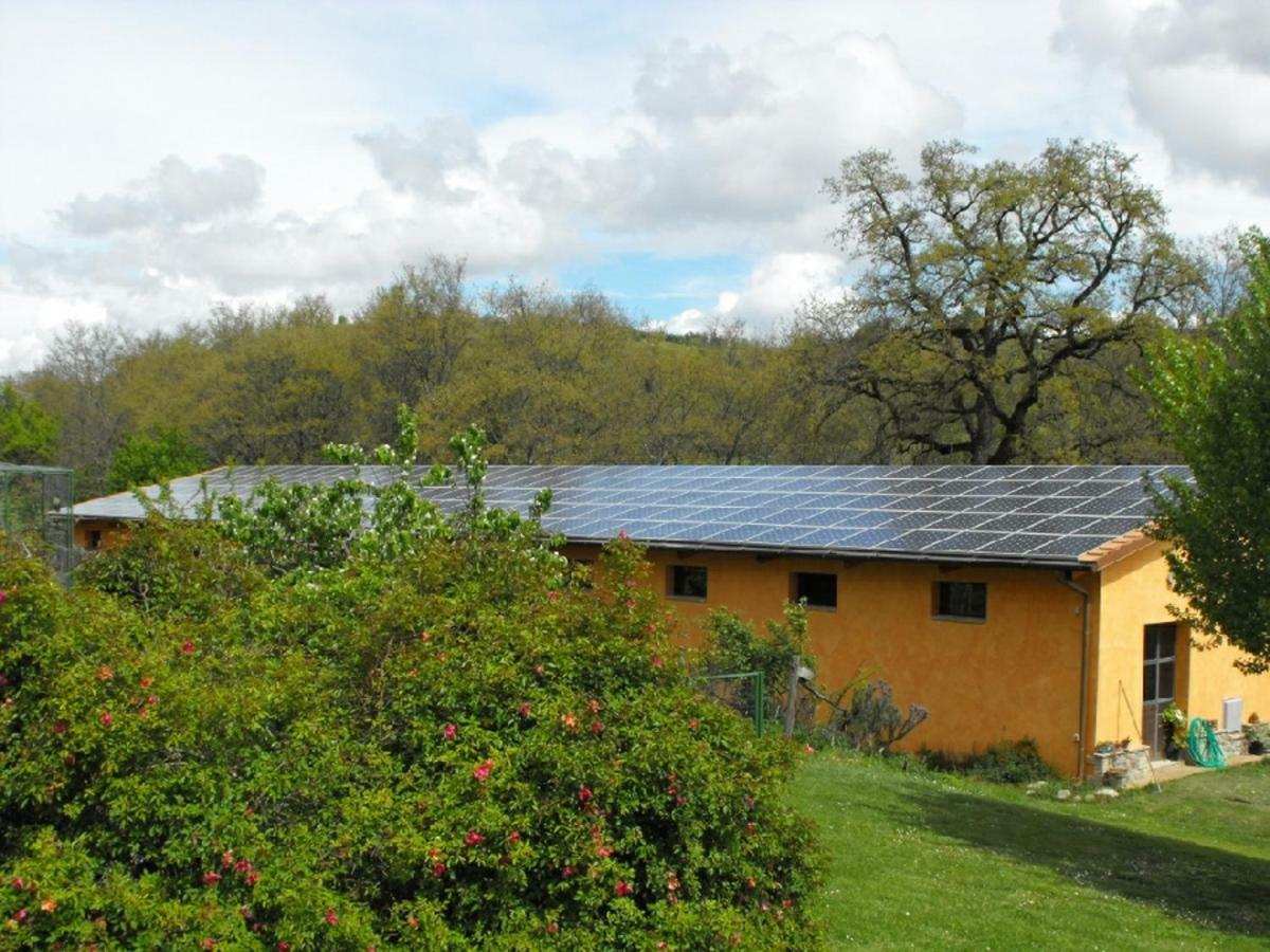 Agriturismo Frallarenza Ficulle ภายนอก รูปภาพ