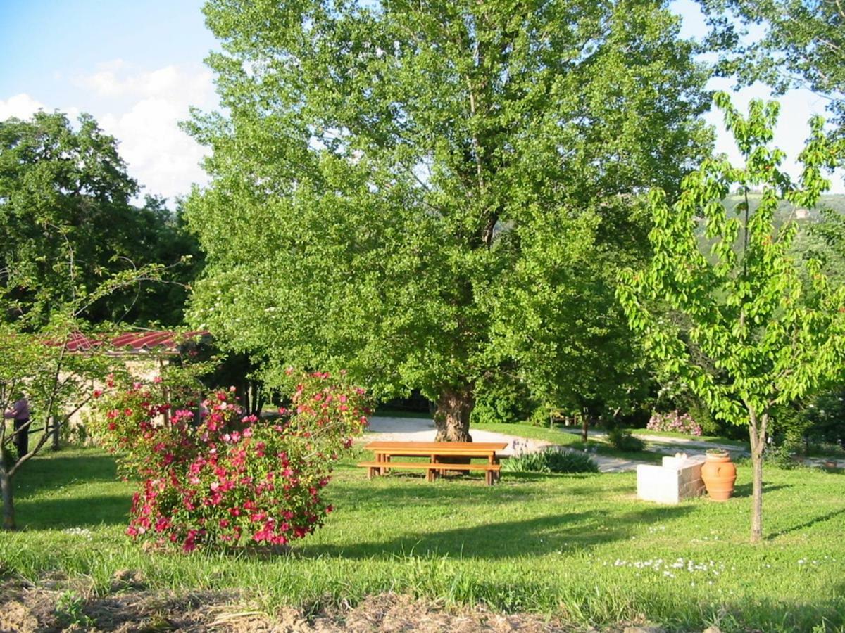 Agriturismo Frallarenza Ficulle ภายนอก รูปภาพ