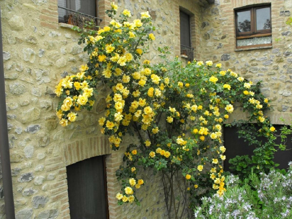 Agriturismo Frallarenza Ficulle ภายนอก รูปภาพ
