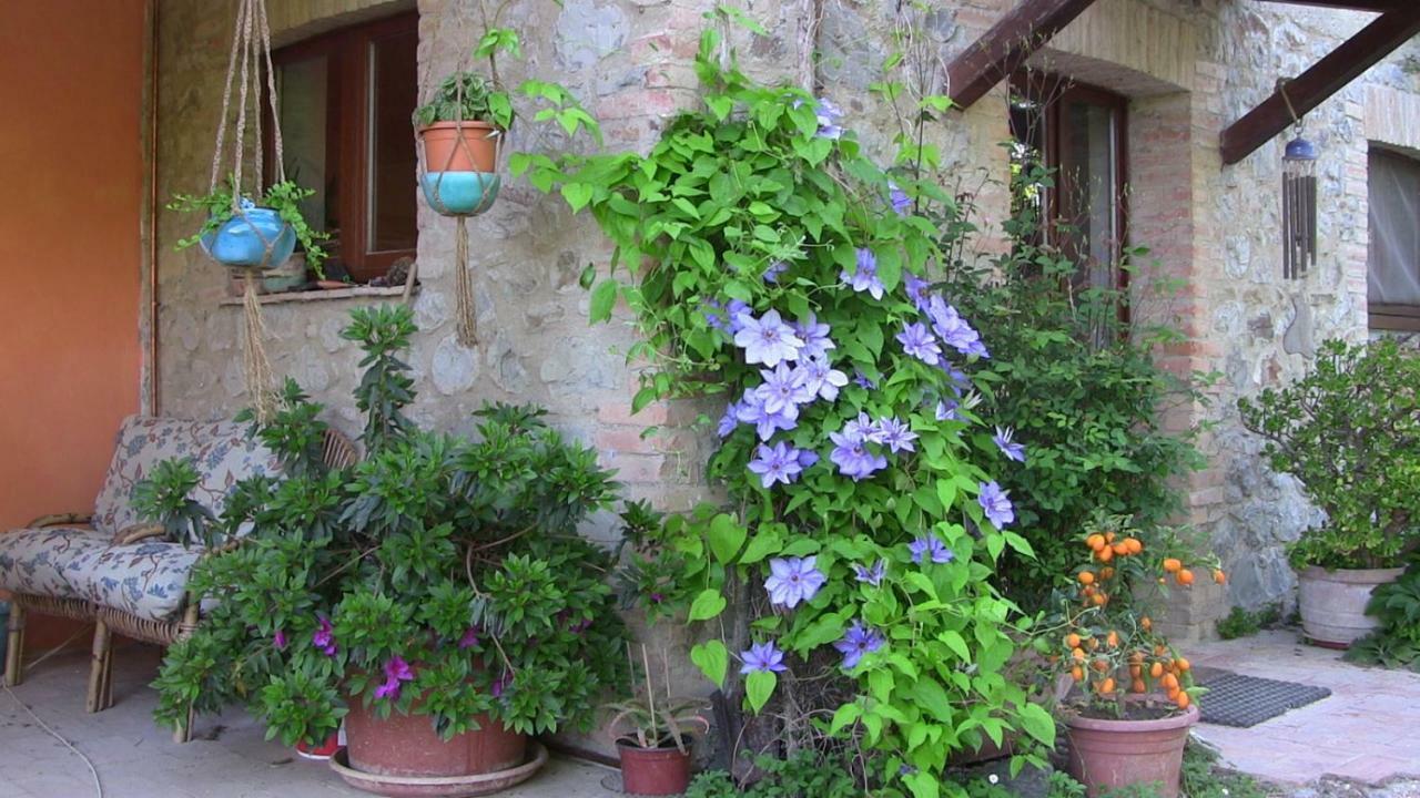 Agriturismo Frallarenza Ficulle ภายนอก รูปภาพ